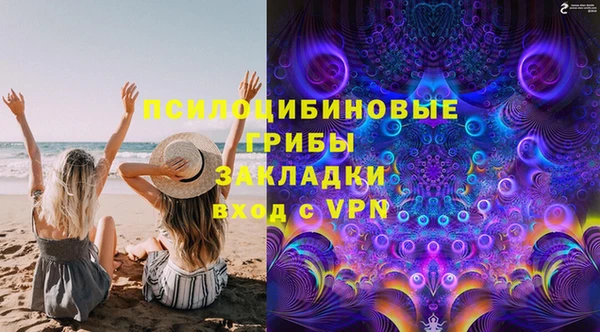 молекула духа Сосновка