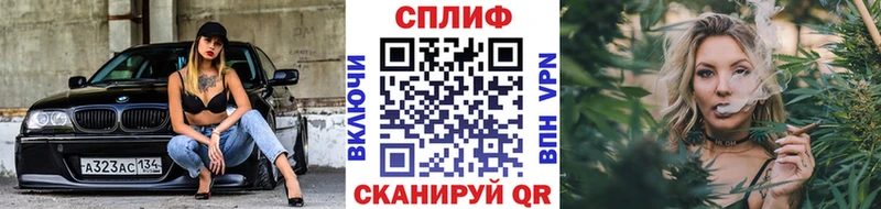 дарнет шоп  Бор  МАРИХУАНА THC 21% 